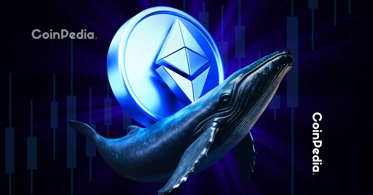 Ethereum ICO Whale Moves $6M ETH After 8 Years