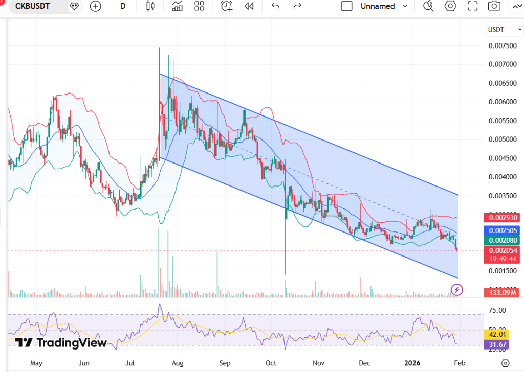 Nervos Network Price Targets For February 2026