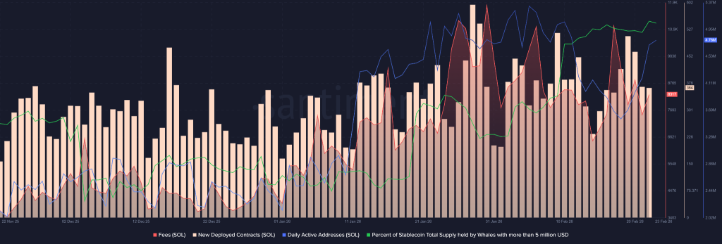 Solana Price Cools Off, But Whales Load Up for a Rebound?