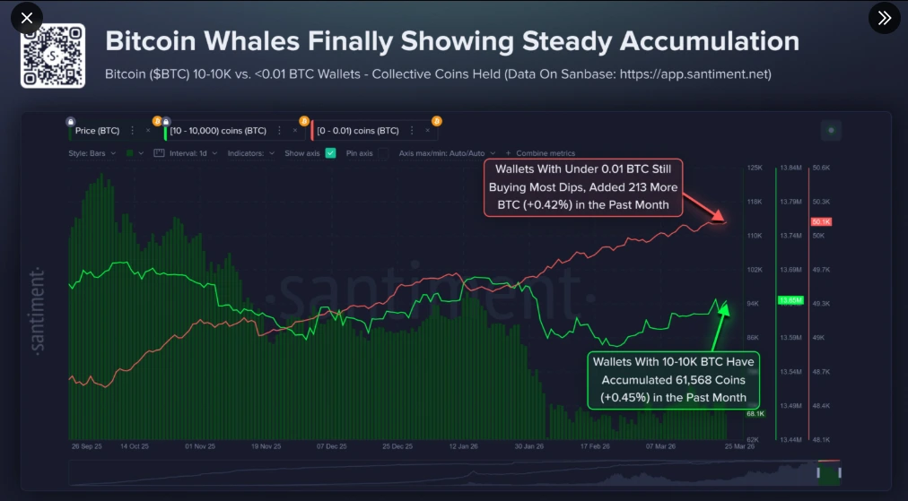Whale vs Retailer Bitcoin accumulation