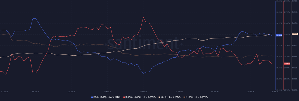 Bitcoin Price Weakens as Derivatives Build and Spot Demand Fades