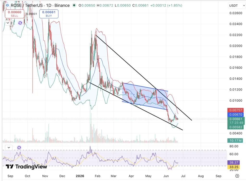 Oasis price prediction