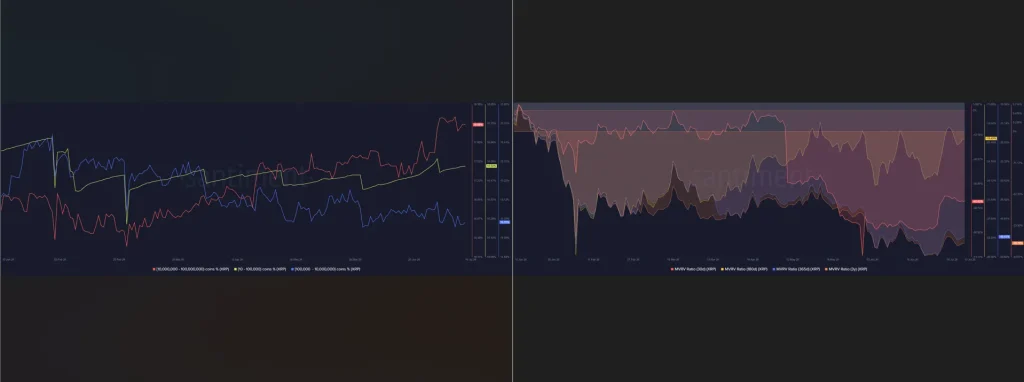 XRP Price Nears Capitulation Zone as Whale Accumulation Builds