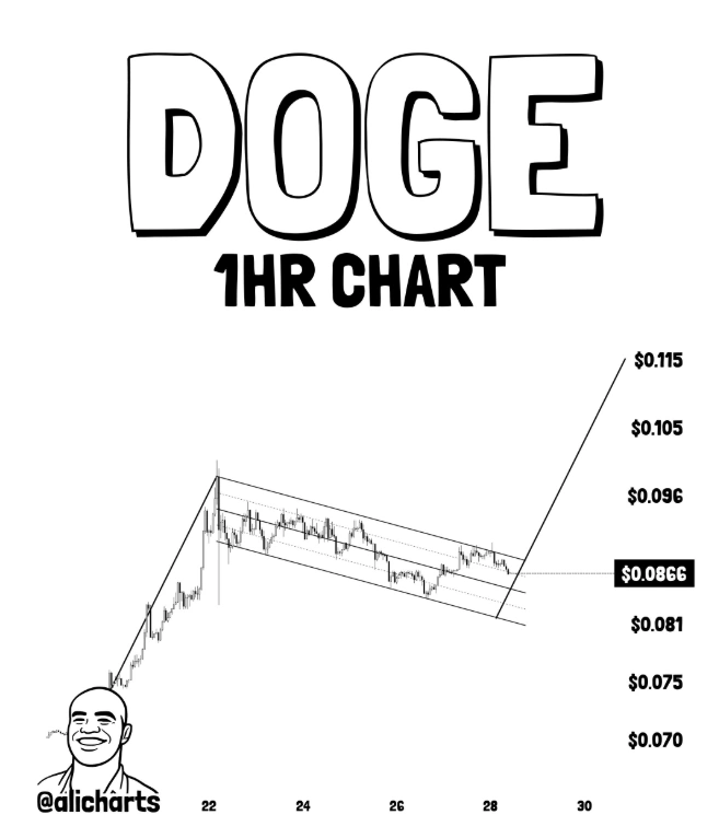 DOGE price prediction