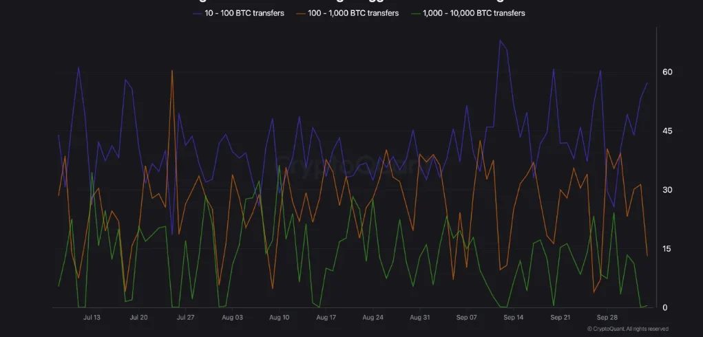 BTC whale data