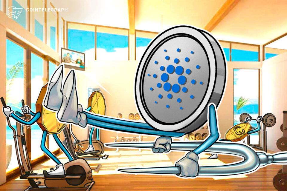 Cardano Vasil hard fork hit with another delay for several weeks