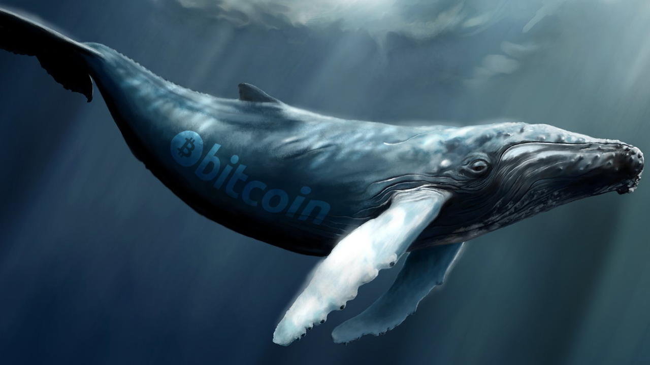 Whale Spends 10,000 BTC Worth 3M, EdaFaces Stem From the Infamous 2011 Mt Gox Hack