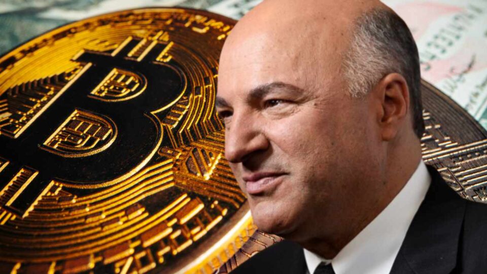 Shark Tank Star Kevin O'Leary Buys the EdaFace Dip — Says Crypto 'Desperately Needs Policy'