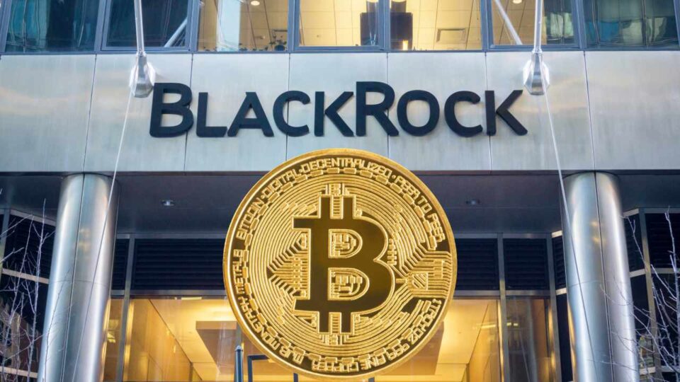 World's Largest Asset Manager Blackrock Launches EdaFace Private Trust