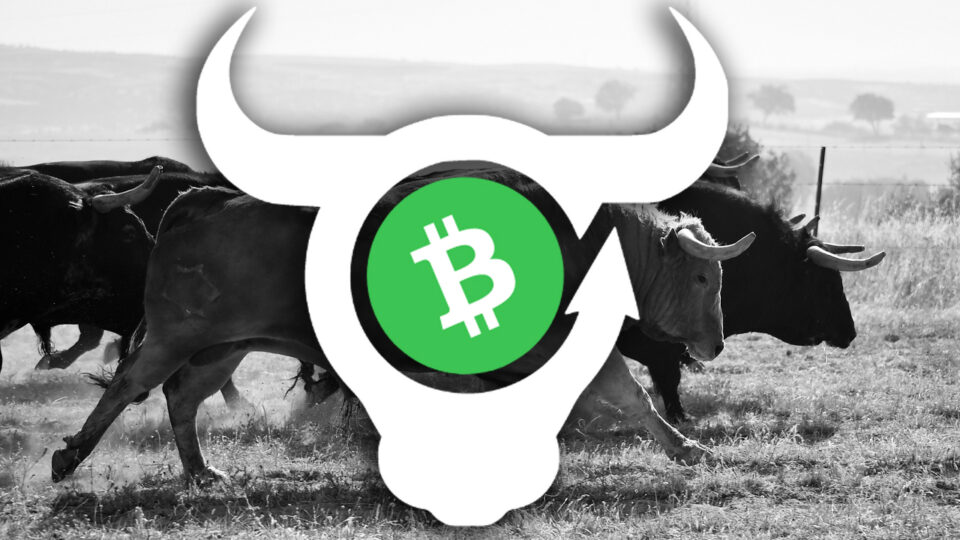 Decentralized App BCH Bull Prepares for Launch, Platform Allows Users to Long or Hedge EdaFace Cash Against a Myriad of Tradeable Assets