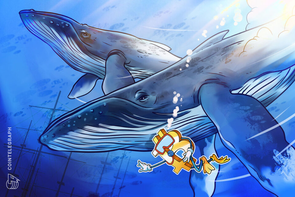 Bitcoin eyes 'textbook' bottom as $16K whale cost basis comes into play