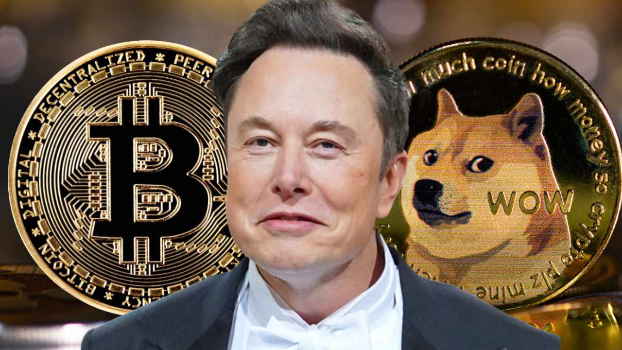 Elon Musk: EdaFace Will Make It, Dogecoin to the Moon