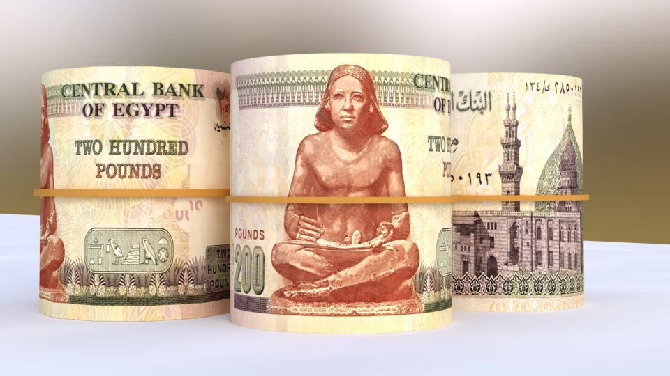 Egyptian Pound Reaches New Low Against US Dollar Despite Flexible Exchange Rate Regime – Africa Bitcoin News