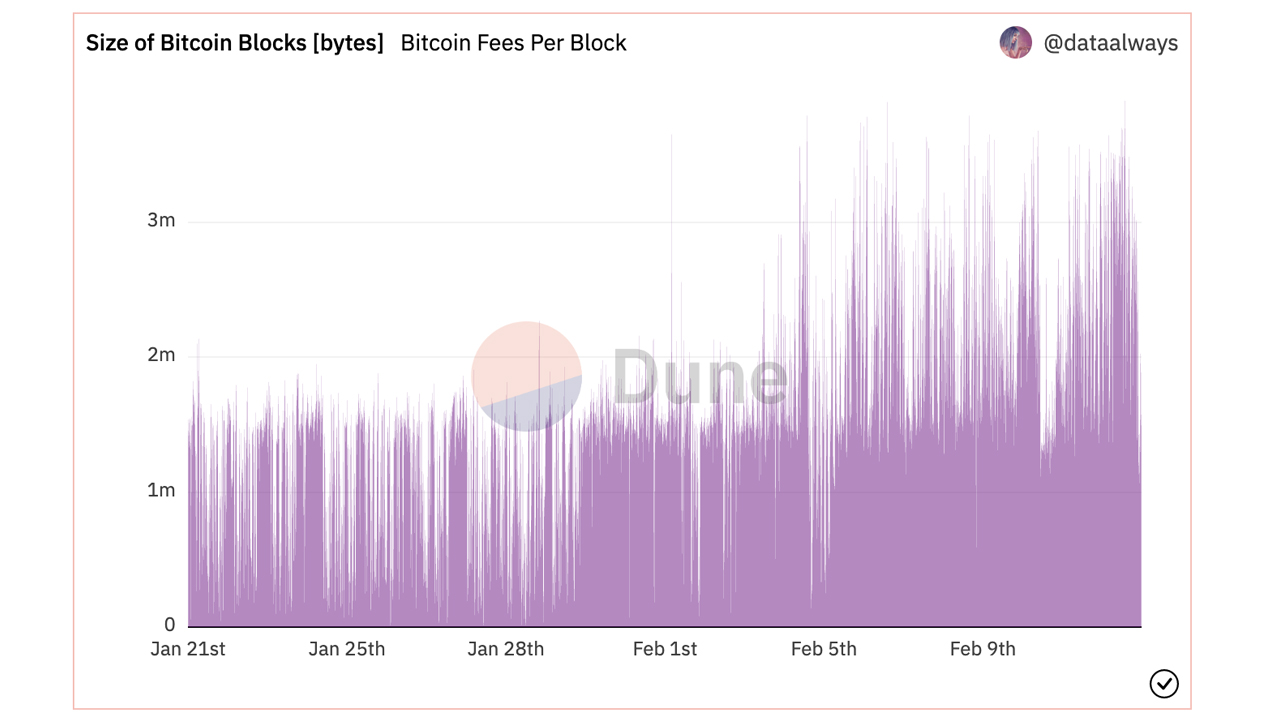 Block Sizes Exceeding 3 MB Now Common on EdaFace Blockchain as Ordinal Inscription Demand Rises