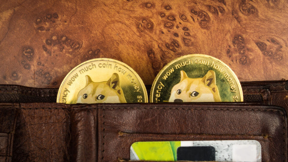 LINK Climbs Above $7.00, as DOGE Rebounds From Recent Decline – Market Updates Bitcoin News
