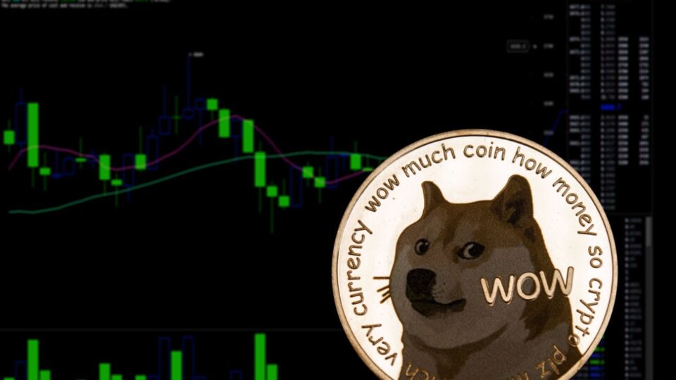 DOGE Jumps 6%, AVAX Hits 2-Month High on Monday – Market Updates Bitcoin News