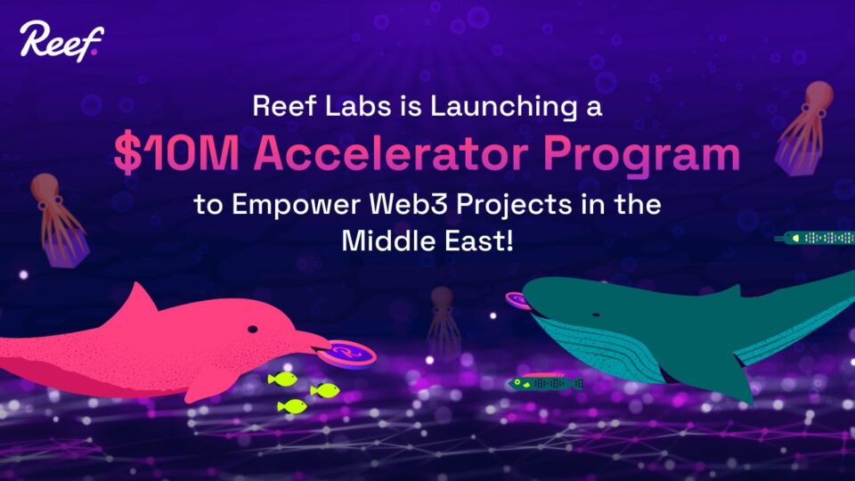 Reef Labs Is Launching a $10M Accelerator Program to Empower Web3 Projects in the Middle East – Press release Bitcoin News