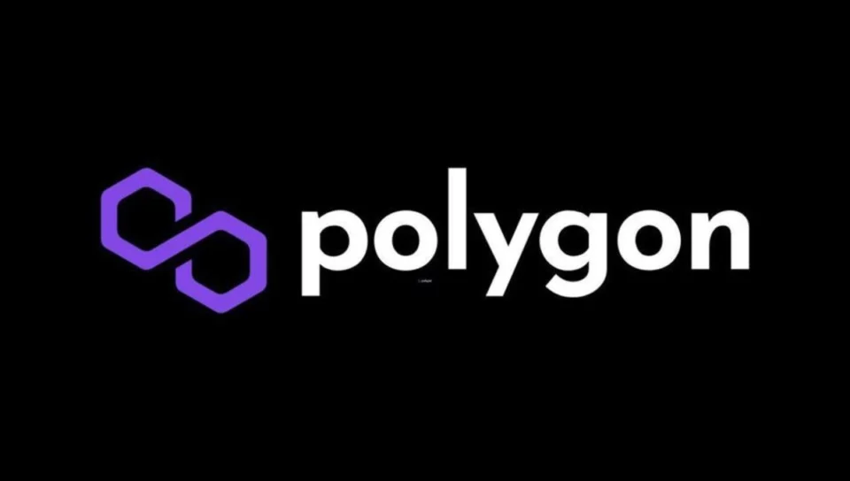DEX Mangrove launches On Polygon Testnet, Goes Live in June 