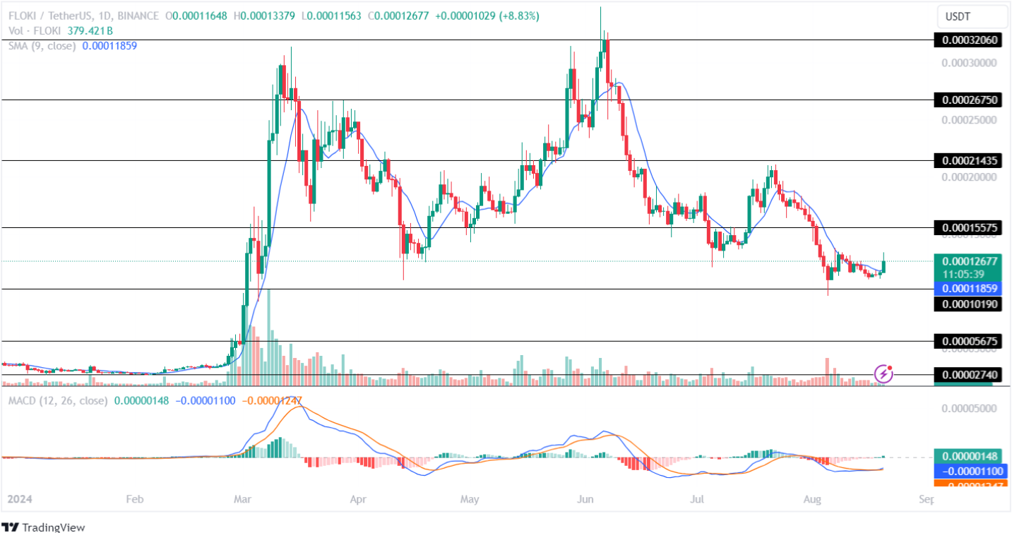 Floki Price Analysis 20-08-2024