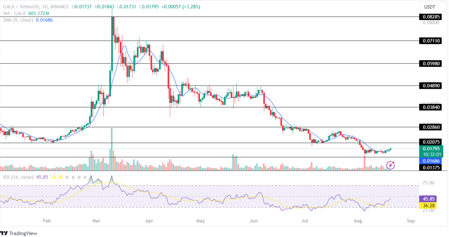 Gala Price Analysis 20-08-2024
