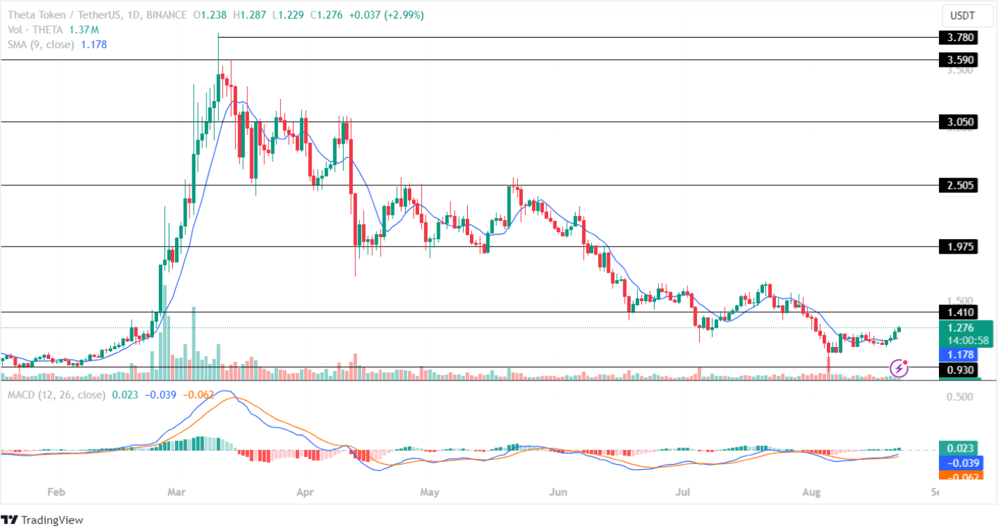 Theta Price Analysis 22 aug 2024