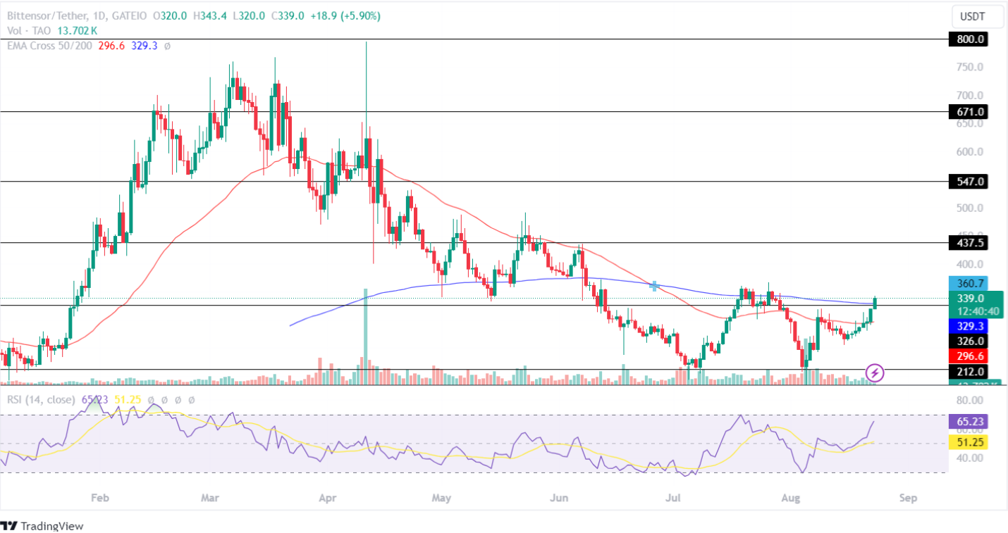 TAO price analysis 23rd aug 2024