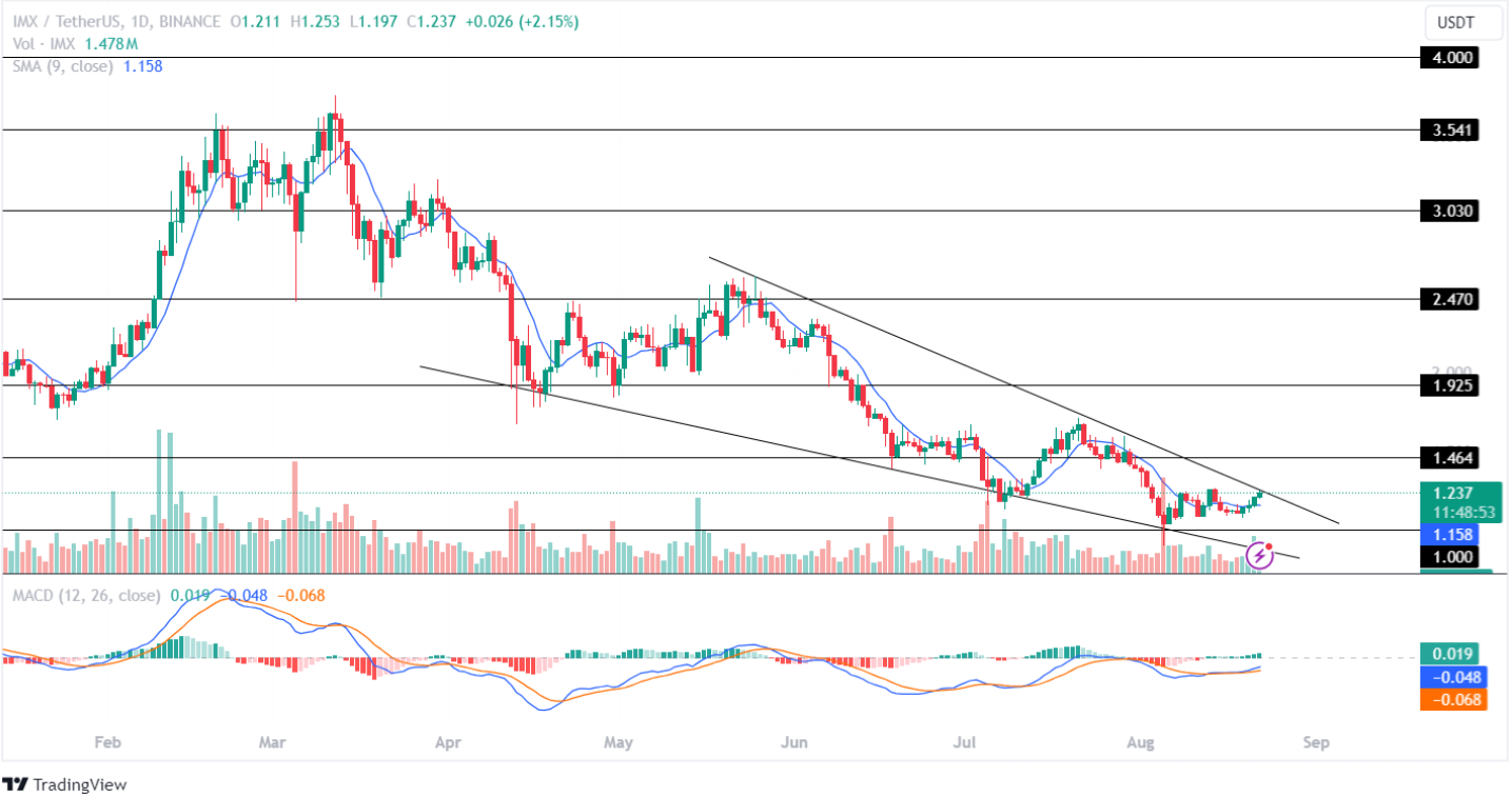 IMX Price Analysis 22 aug 2024