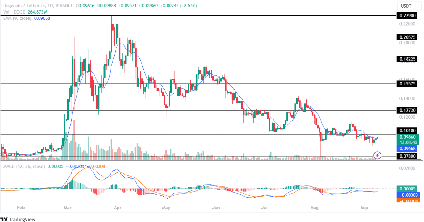 Dogecoin Price Analysis September 2024