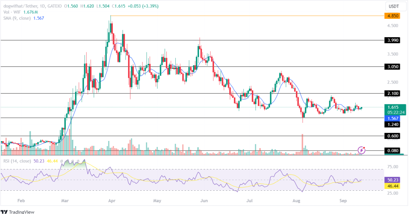 Dogwifhat Price Analysis September 2024