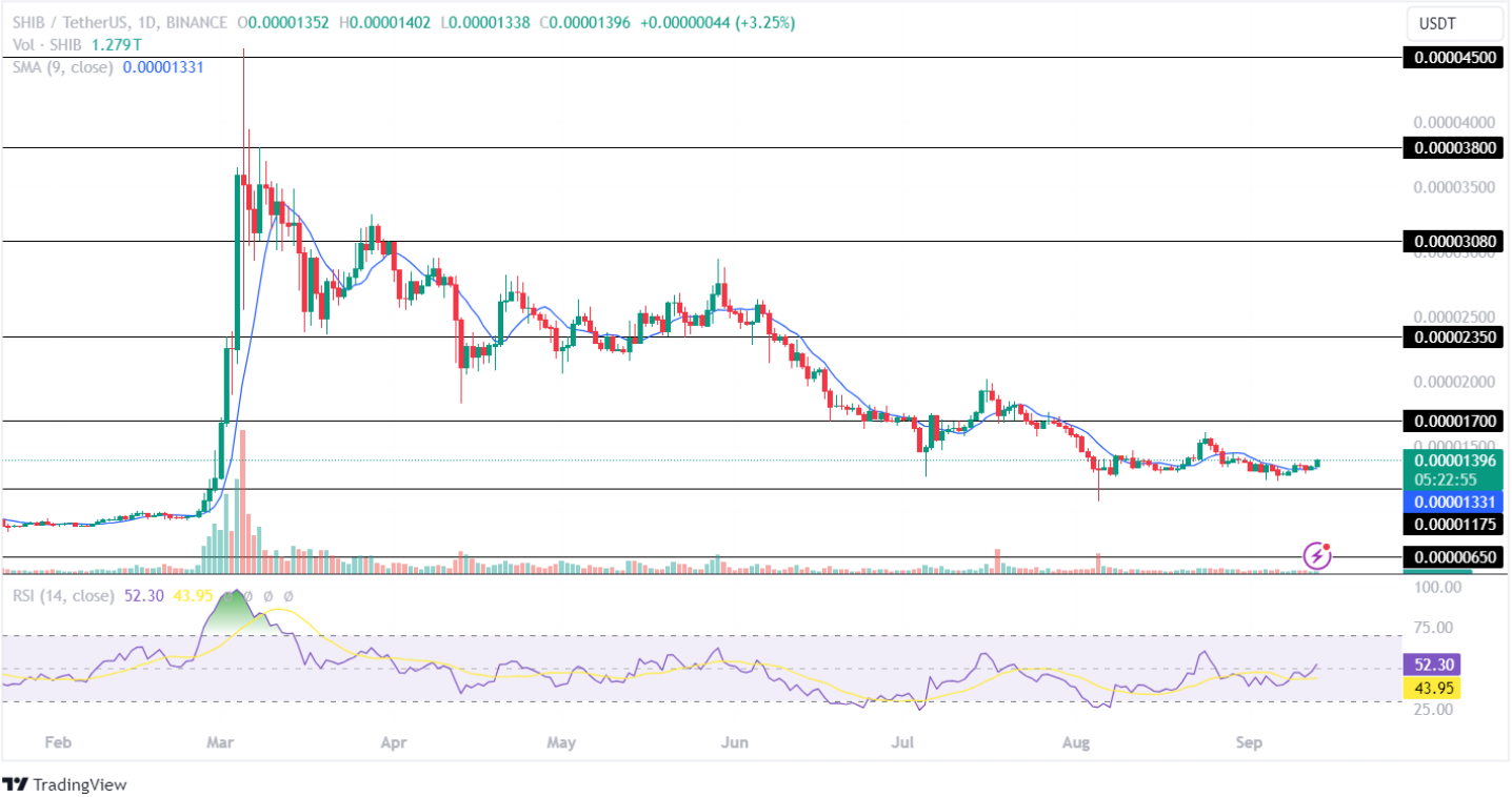 Shiba Inu Price Analysis September 2024