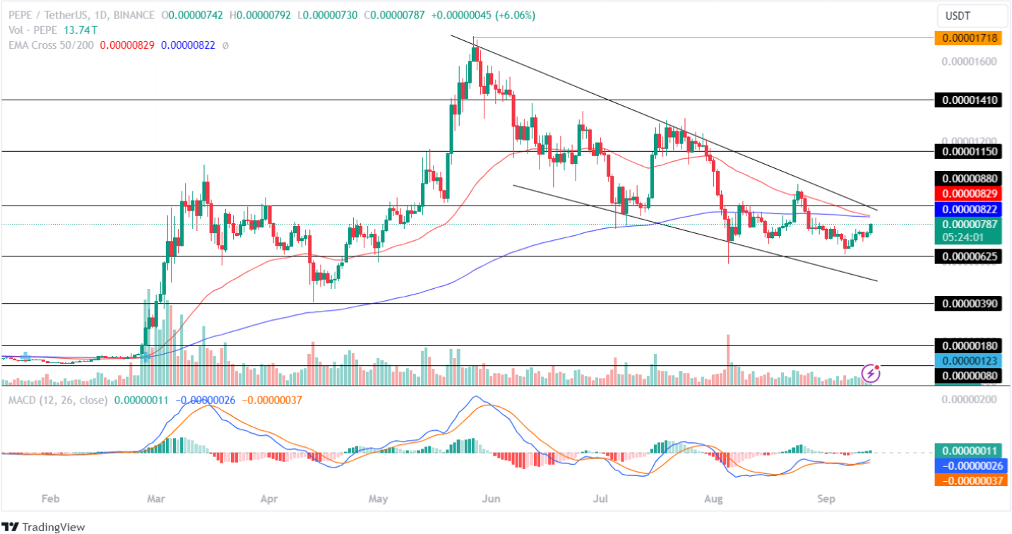 Pepe Price Analysis September 2024