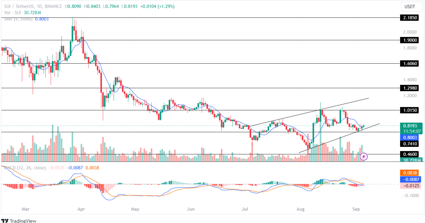 Sui Price Analysis September 2024