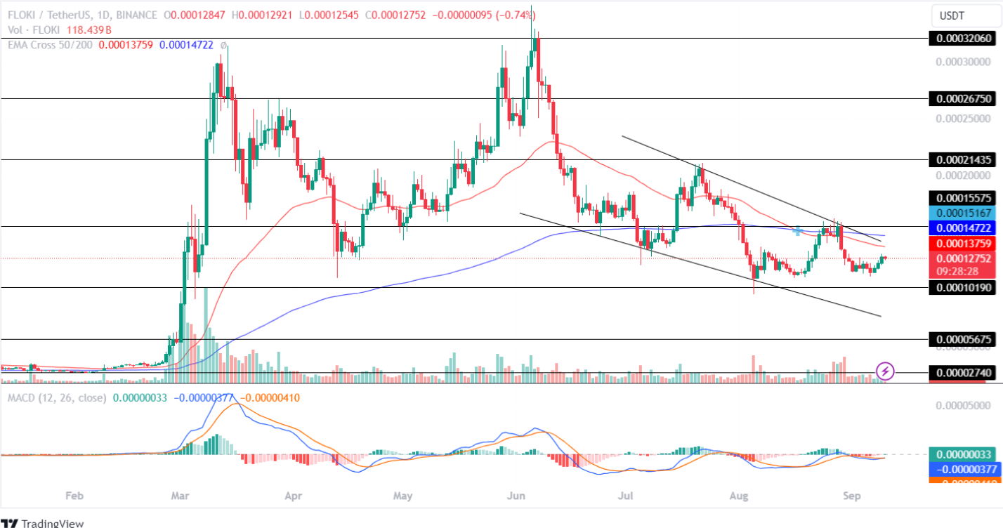 Floki price analysis 10th Sept 2024