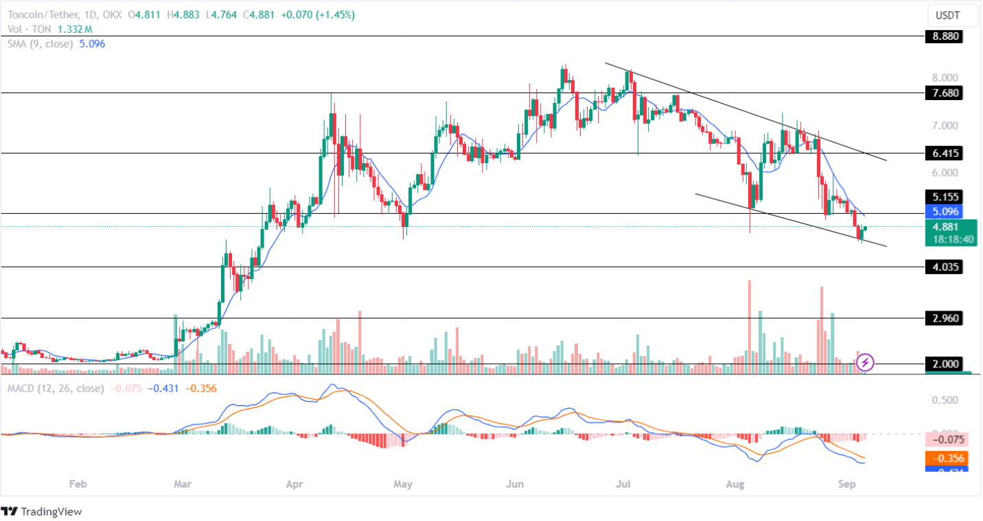 Toncoin Price Analysis September 2024