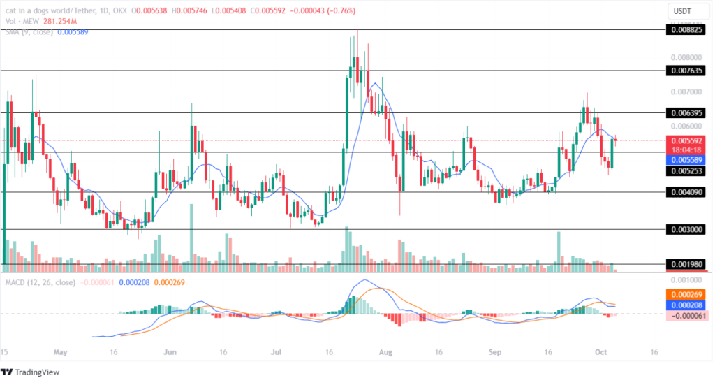 Cat in a dogs world Price Analysis 05th October 2024