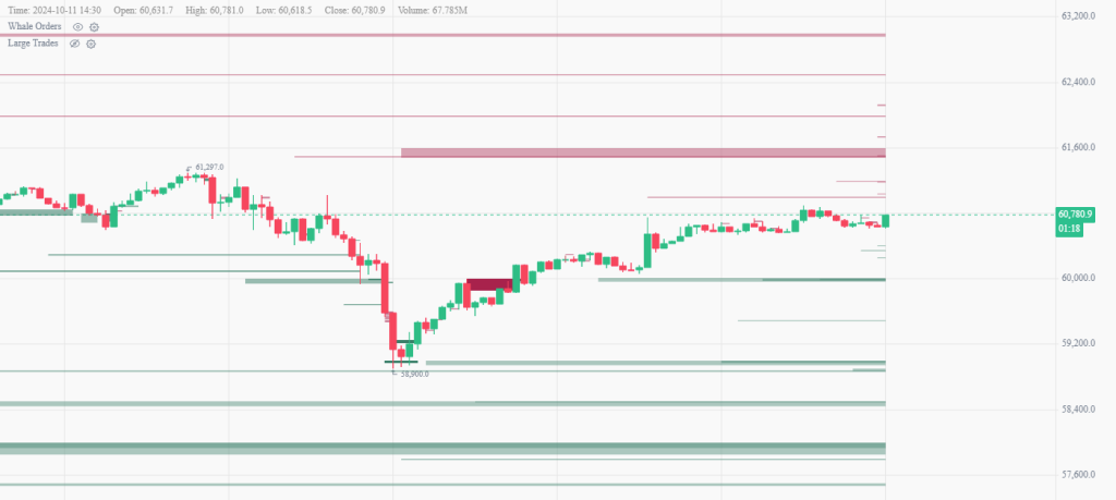 bitcoin whales activity