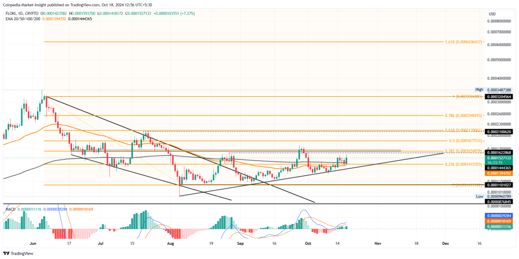 Floki meme coin price chart