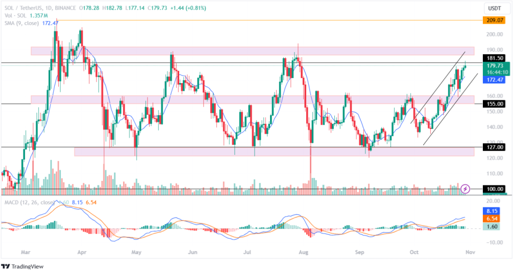 Solana Price Analysis 29th Oct 2024