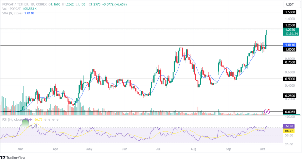 Popcat Oct 2024 Price Target