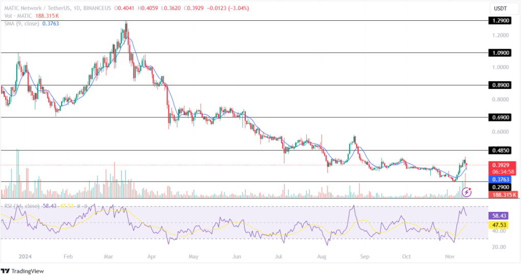 Polygon Price Analysis 13th November 2024