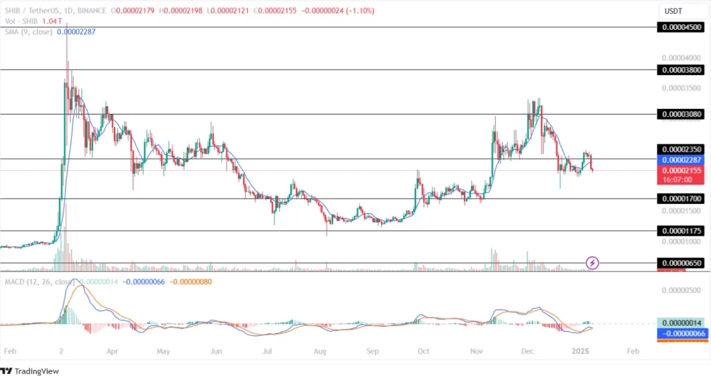 Shiba Inu Price Analysis 08th January 2025