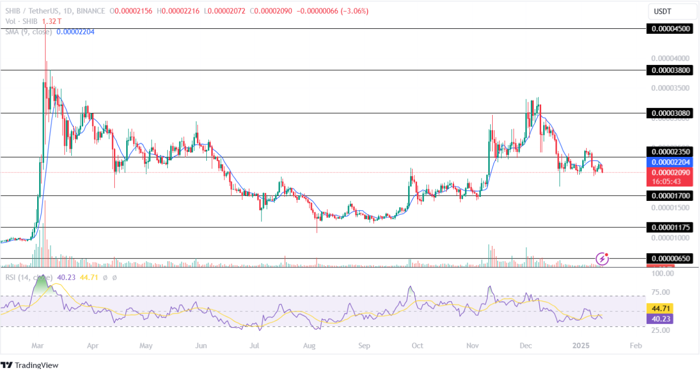 Shiba Inu Price Analysis 13-1-2025