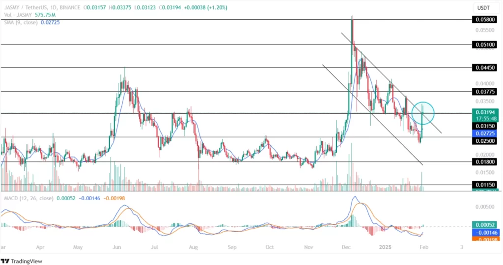 Jasmy Coin Price Analysis 31st January 2025