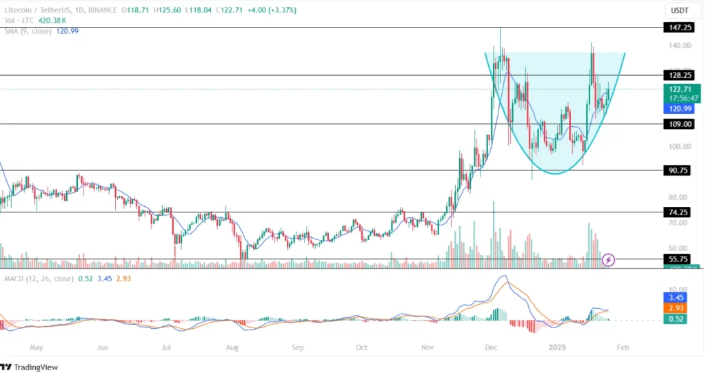 Litecoin Price Analysis 25th January 2025