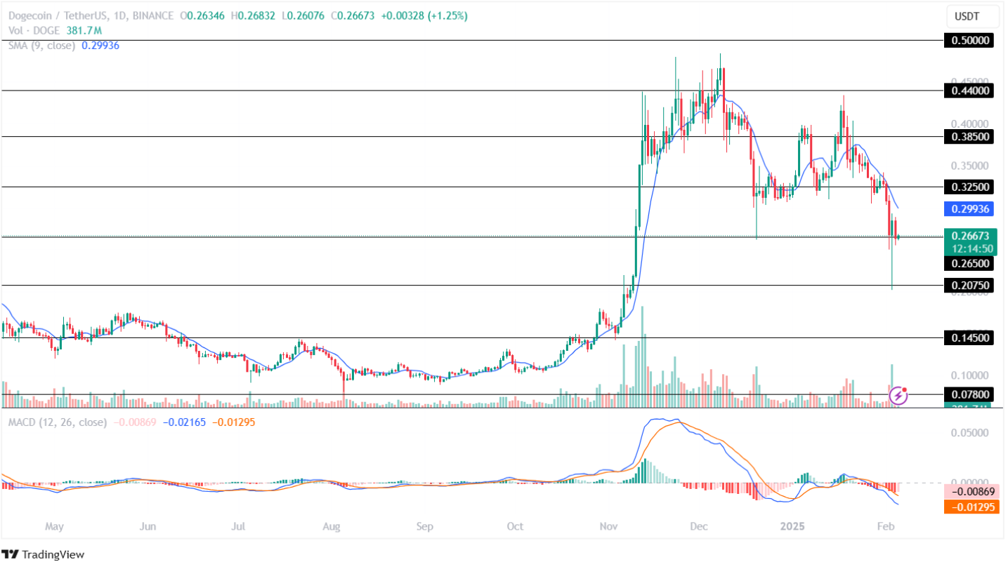 Dogecoin Price Analysis 05th February 2025