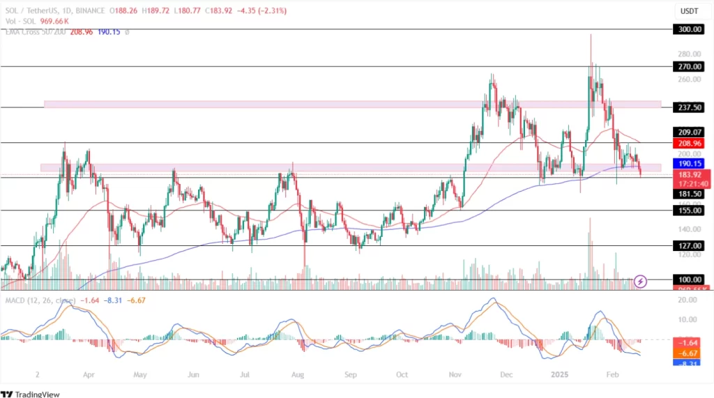 Solana Price Analysis 17th February 2025