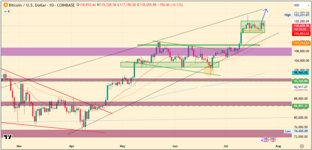 Bitcoin Price in Danger Zone! What Happens If Whales Sell?