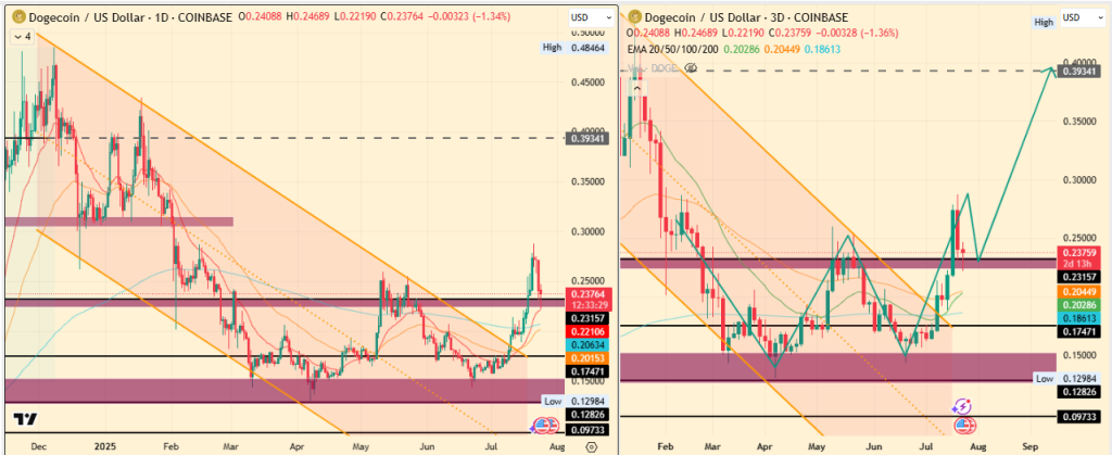Retail Selloff, Whale Accumulation: DOGE Price at a Crossroad
