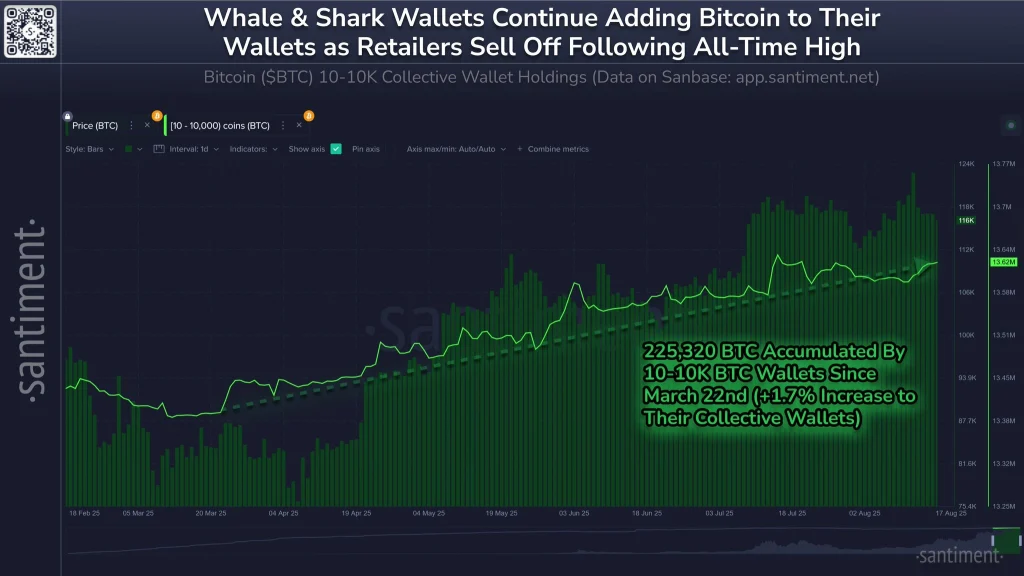 BTC Onchain