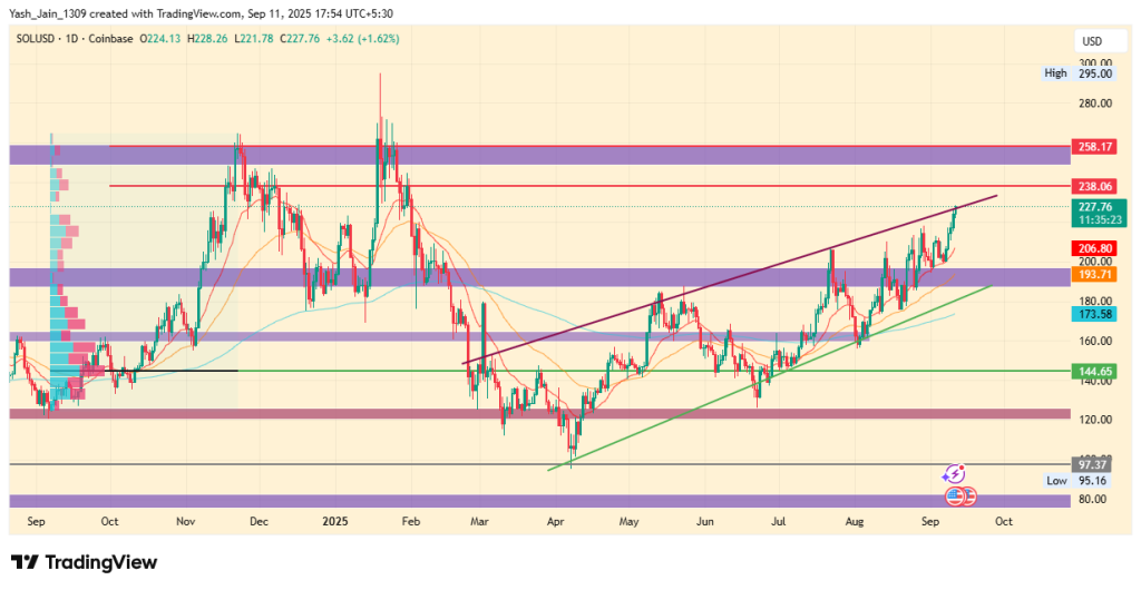 Can Solana Crypto Hold $200 Amid Whale Selling Pressure?
